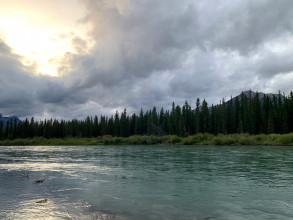 Bow River Campground